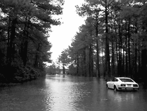 Car Driving Down Flooded Road